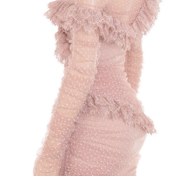 BLUSH LACE FRILL MINI DRESS - Picture 4 of 4